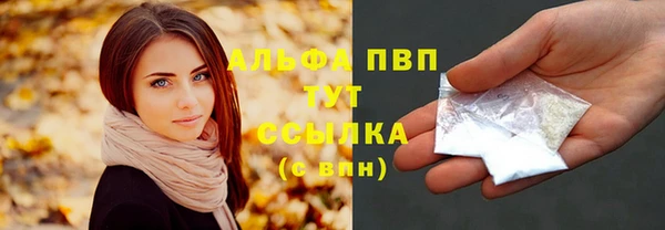 ешки Аркадак