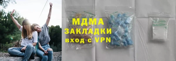 шишки Арсеньев