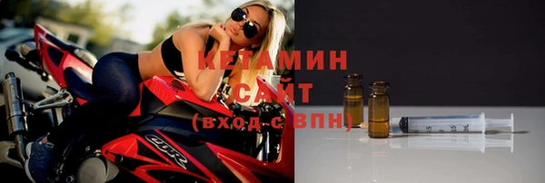 шишки Арсеньев