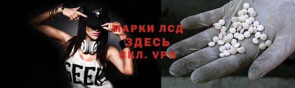 ешки Аркадак