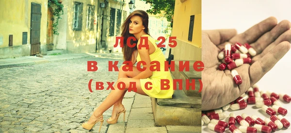 шишки Арсеньев