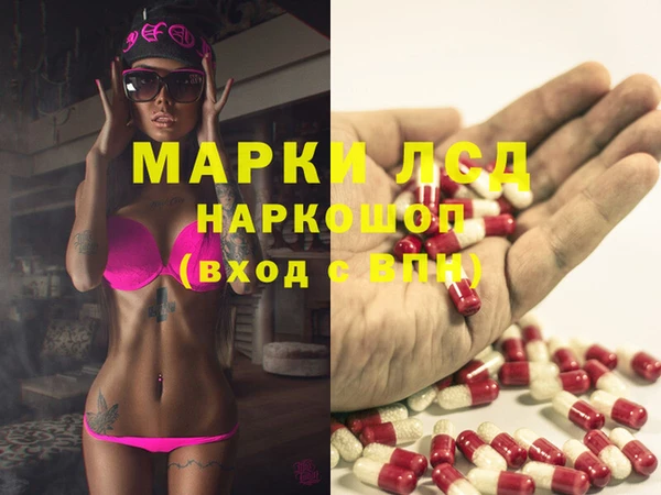 ешки Аркадак