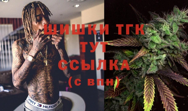 шишки Арсеньев