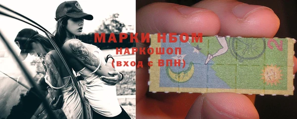 шишки Арсеньев
